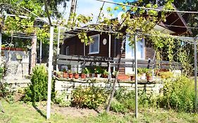 Holiday Home Vilata
